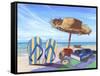 Stranded-Scott Westmoreland-Framed Stretched Canvas