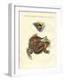 Strange Amphibians-null-Framed Giclee Print