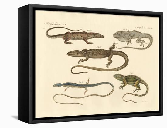 Strange Amphibians-null-Framed Stretched Canvas