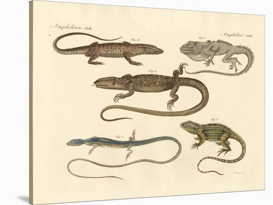 Strange Amphibians-null-Stretched Canvas