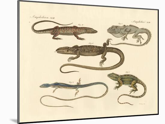 Strange Amphibians-null-Mounted Giclee Print