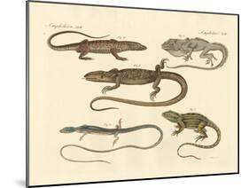 Strange Amphibians-null-Mounted Giclee Print