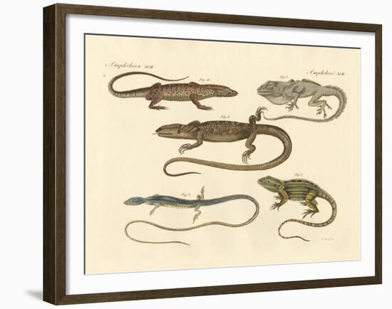 Strange Amphibians-null-Framed Giclee Print