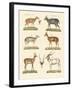 Strange Antelopes-null-Framed Giclee Print