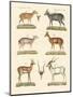 Strange Antelopes-null-Mounted Premium Giclee Print