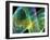 Strange Attractor, Artwork-PASIEKA-Framed Photographic Print