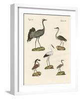 Strange Beach Birds-null-Framed Giclee Print