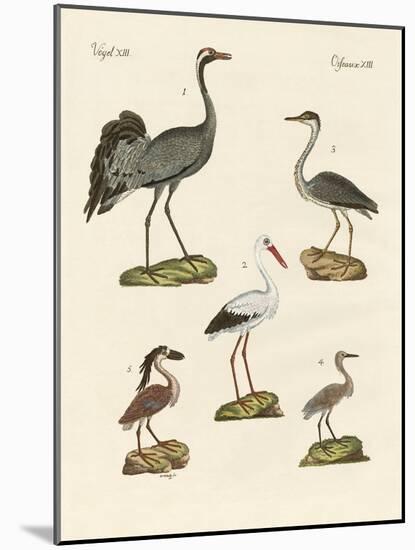 Strange Beach Birds-null-Mounted Giclee Print