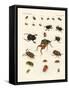 Strange Beetles-null-Framed Stretched Canvas