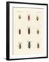 Strange Beetles-null-Framed Giclee Print