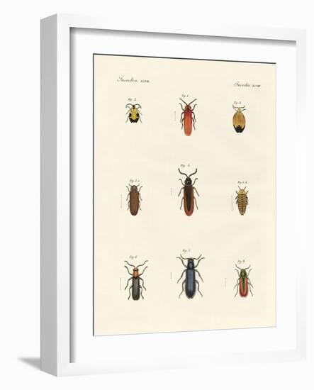 Strange Beetles-null-Framed Giclee Print