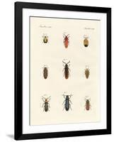 Strange Beetles-null-Framed Giclee Print