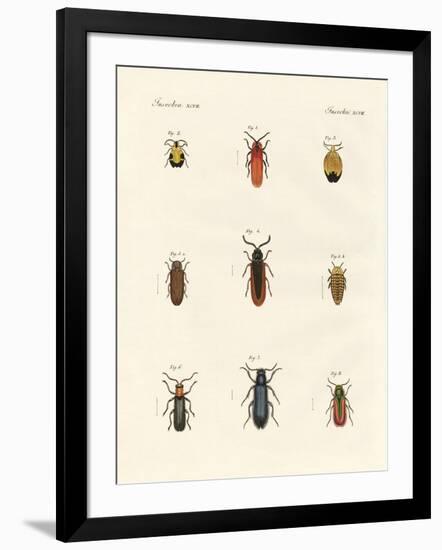 Strange Beetles-null-Framed Giclee Print