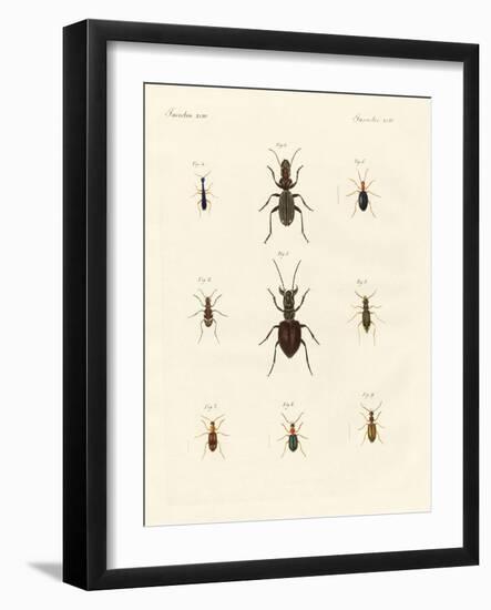 Strange Beetles-null-Framed Giclee Print