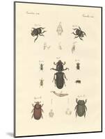 Strange Beetles-null-Mounted Giclee Print