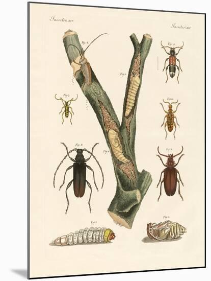 Strange Beetles-null-Mounted Giclee Print