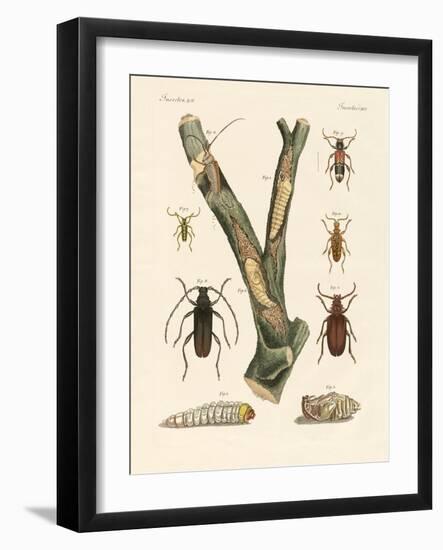 Strange Beetles-null-Framed Giclee Print