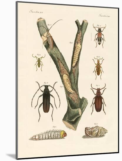 Strange Beetles-null-Mounted Giclee Print