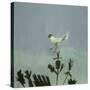 Strange Bird Alighting, 1982-David Alan Redpath Michie-Stretched Canvas