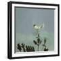 Strange Bird Alighting, 1982-David Alan Redpath Michie-Framed Premium Giclee Print