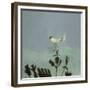 Strange Bird Alighting, 1982-David Alan Redpath Michie-Framed Giclee Print