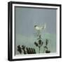 Strange Bird Alighting, 1982-David Alan Redpath Michie-Framed Giclee Print
