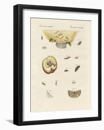 Strange Butterflies-null-Framed Giclee Print