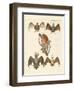 Strange Chiroptera-null-Framed Giclee Print