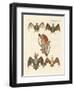 Strange Chiroptera-null-Framed Giclee Print