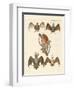 Strange Chiroptera-null-Framed Giclee Print