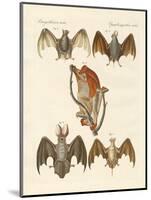 Strange Chiroptera-null-Mounted Giclee Print