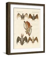 Strange Chiroptera-null-Framed Giclee Print