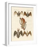 Strange Chiroptera-null-Framed Giclee Print