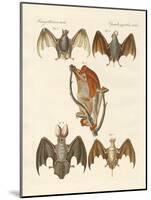 Strange Chiroptera-null-Mounted Giclee Print