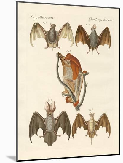 Strange Chiroptera-null-Mounted Giclee Print