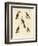 Strange Climbing Birds-null-Framed Giclee Print