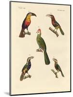 Strange Climbing Birds-null-Mounted Giclee Print