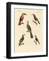 Strange Climbing Birds-null-Framed Giclee Print