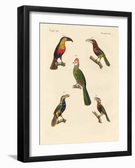 Strange Climbing Birds-null-Framed Giclee Print