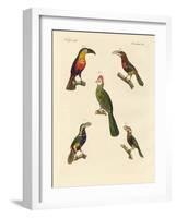 Strange Climbing Birds-null-Framed Giclee Print