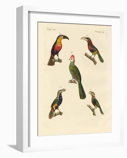 Strange Climbing Birds-null-Framed Giclee Print