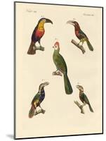 Strange Climbing Birds-null-Mounted Giclee Print