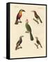 Strange Climbing Birds-null-Framed Stretched Canvas