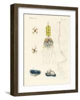 Strange Comb Jellies-null-Framed Giclee Print