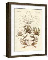 Strange Crabs-null-Framed Giclee Print