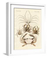 Strange Crabs-null-Framed Giclee Print