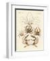 Strange Crabs-null-Framed Premium Giclee Print