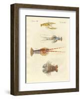 Strange Crabs-null-Framed Premium Giclee Print