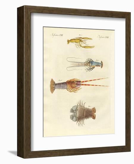 Strange Crabs-null-Framed Premium Giclee Print