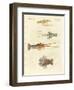 Strange Crabs-null-Framed Premium Giclee Print